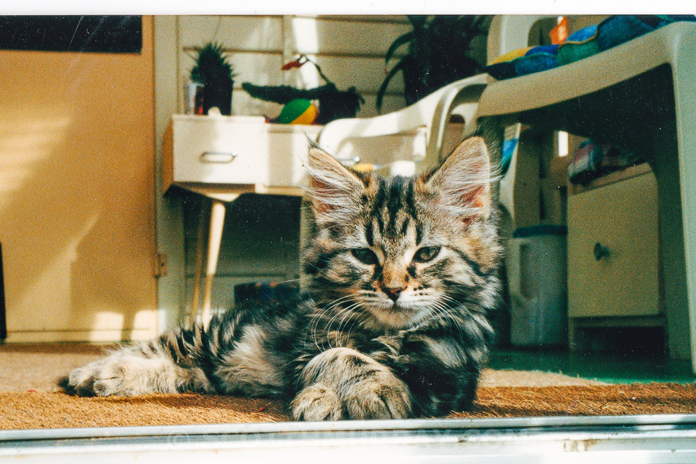 20150713-Old film 77.jpg