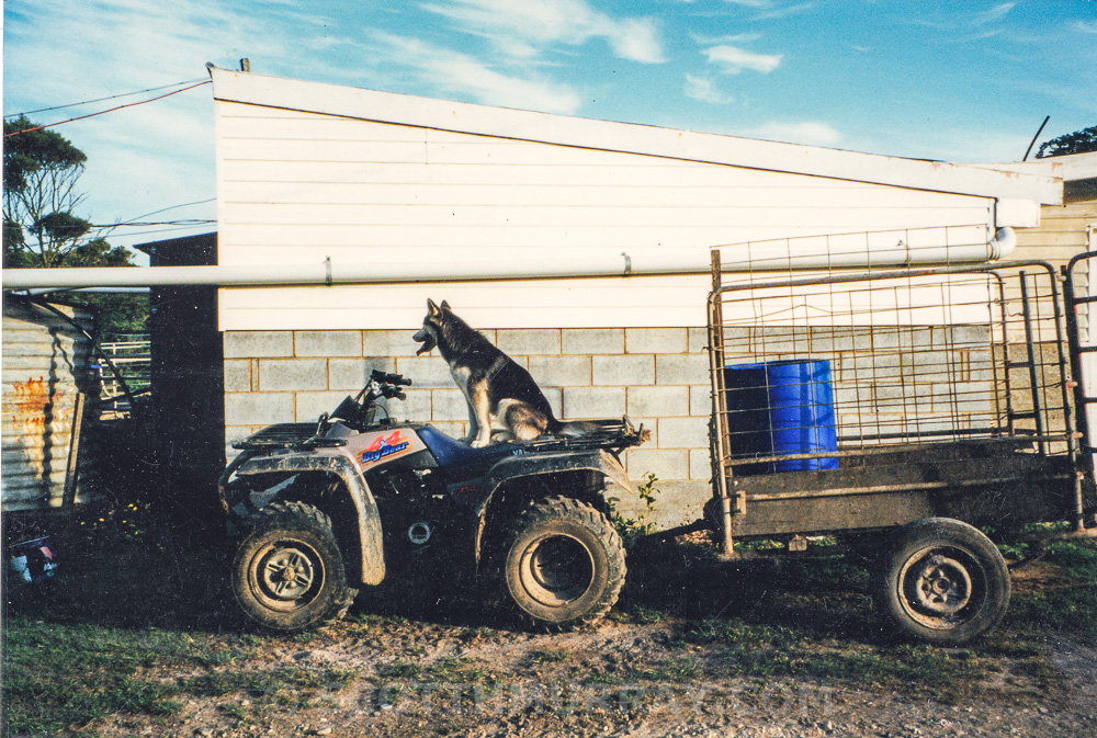 20150713-Old film 9.jpg