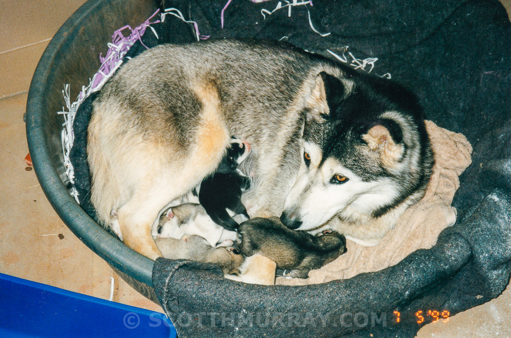 20150713-Old film.jpg