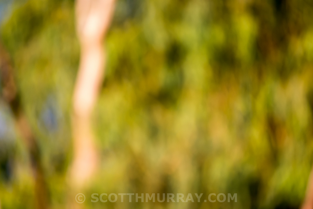 20150723-20150723-D60_6755.jpg