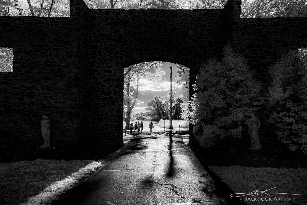 20150828-D81_4801-Edit-Edit.jpg