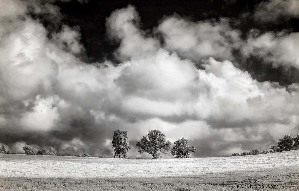 20150905-D81_5019-Edit-Edit.jpg