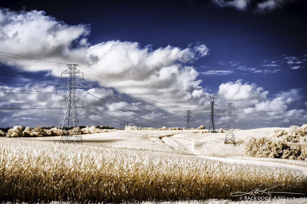 20150905-D81_5058-Edit-Edit.jpg