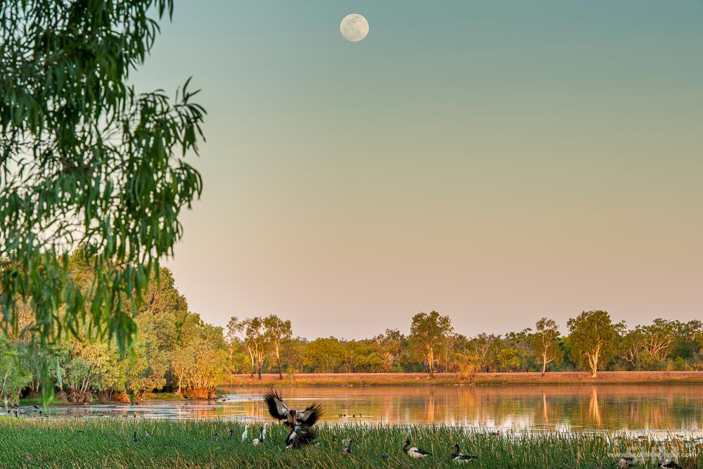 20150927-SHM_5705.jpg