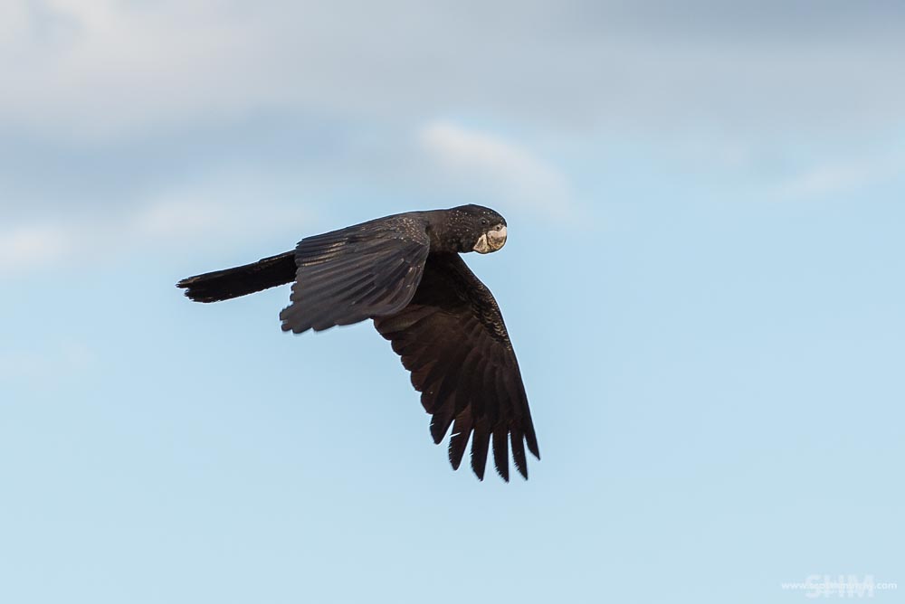 20151003-20151003-D60_4258.jpg