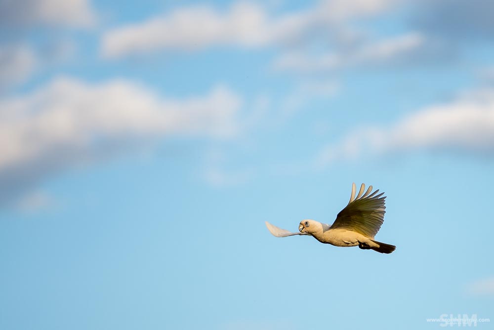 20151003-20151003-D60_4288.jpg