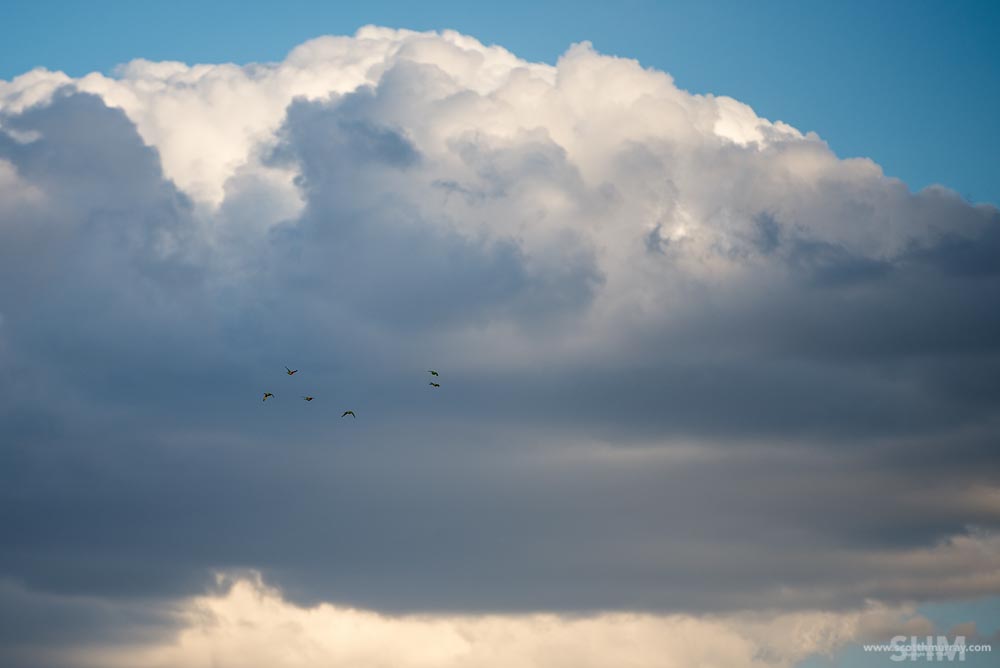 20151003-20151003-D60_4297.jpg