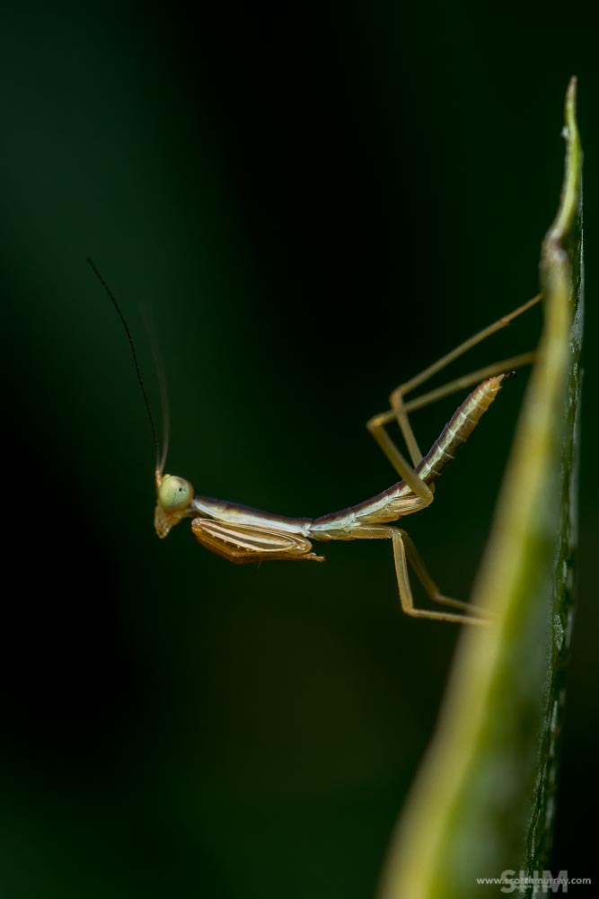 20151024-20151024-SHM_8928-Edit-Edit.jpg