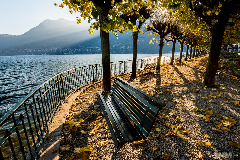20151102-20151102-SHM_9861.jpg