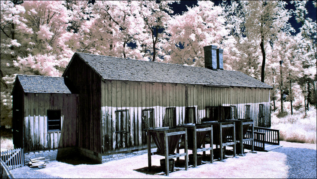 2016 LDS Village IR    1sm.jpg