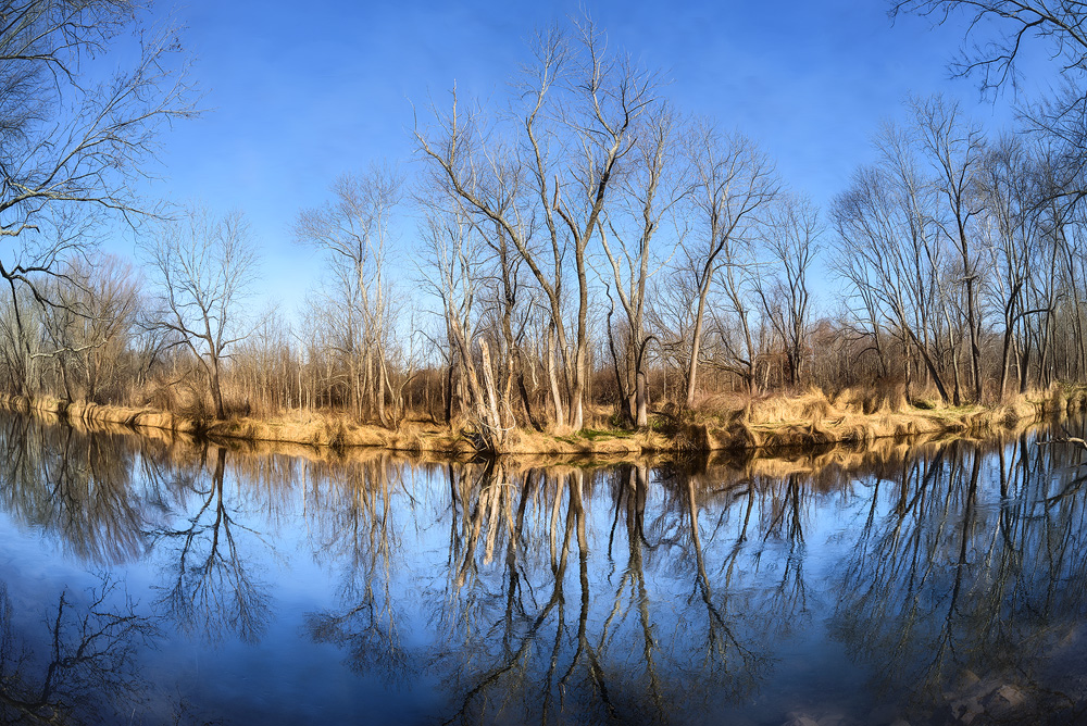 20160103-5-Normal 40.jpg