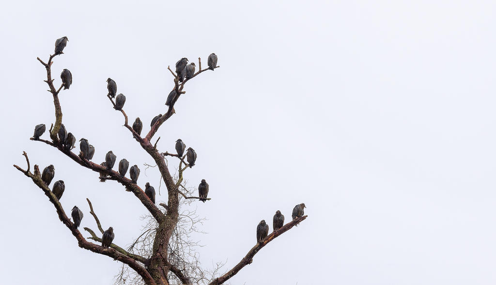 20160110-Minimalism-(_E751729).jpg