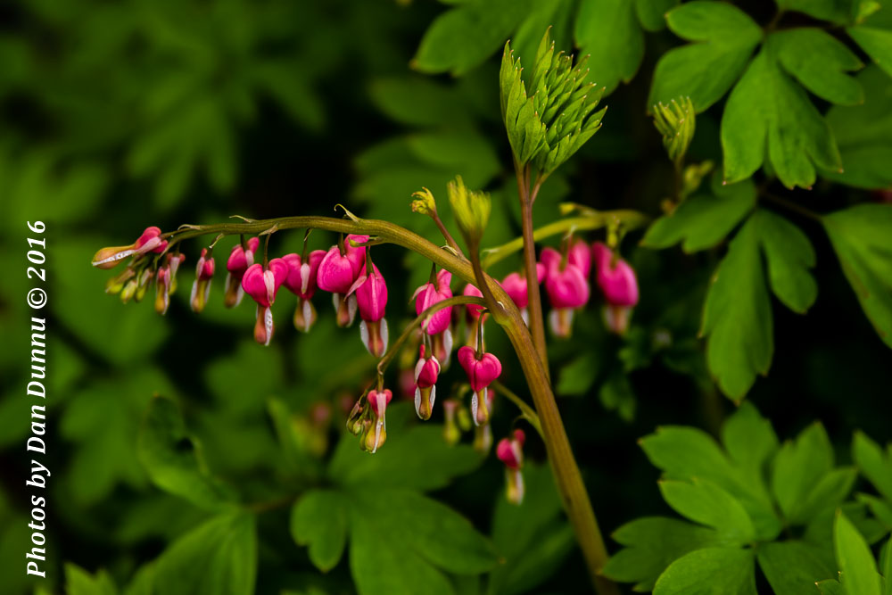 20160327 Family Easter-4170.jpg