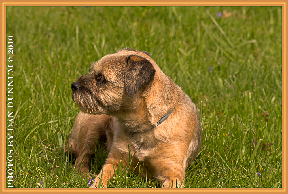 20160404 Jersey Girl-4502-Edit.jpg