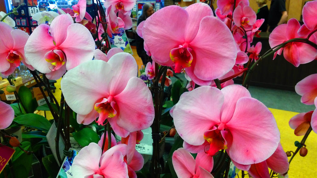 20160502_154743.jpg