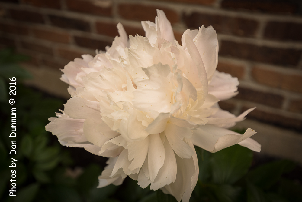 20160515-7364.jpg