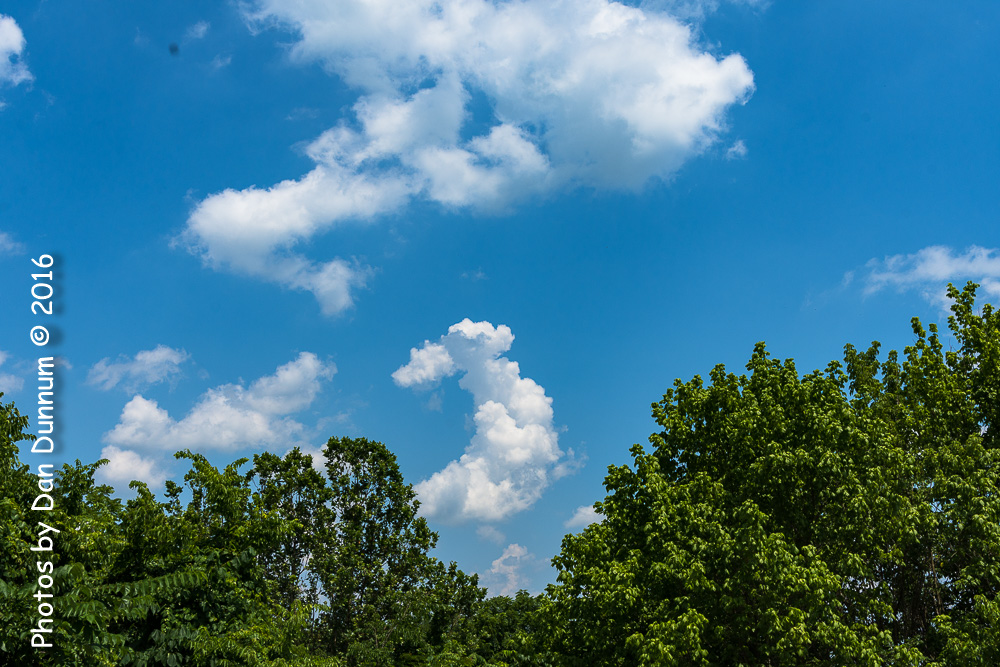 20160626 Sunday-9315.jpg