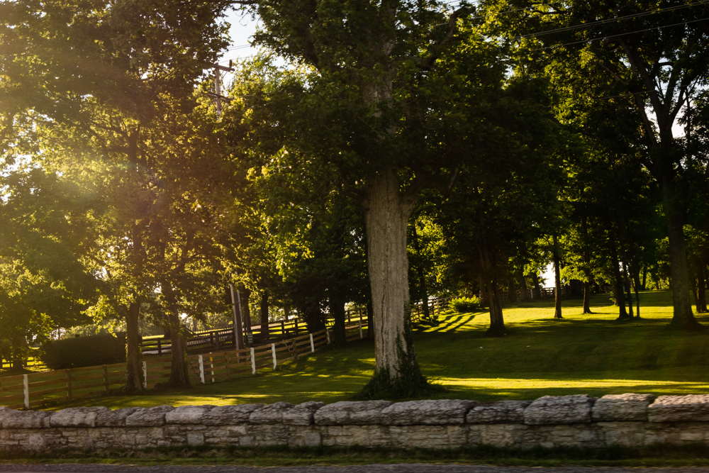 20160717-0847.jpg