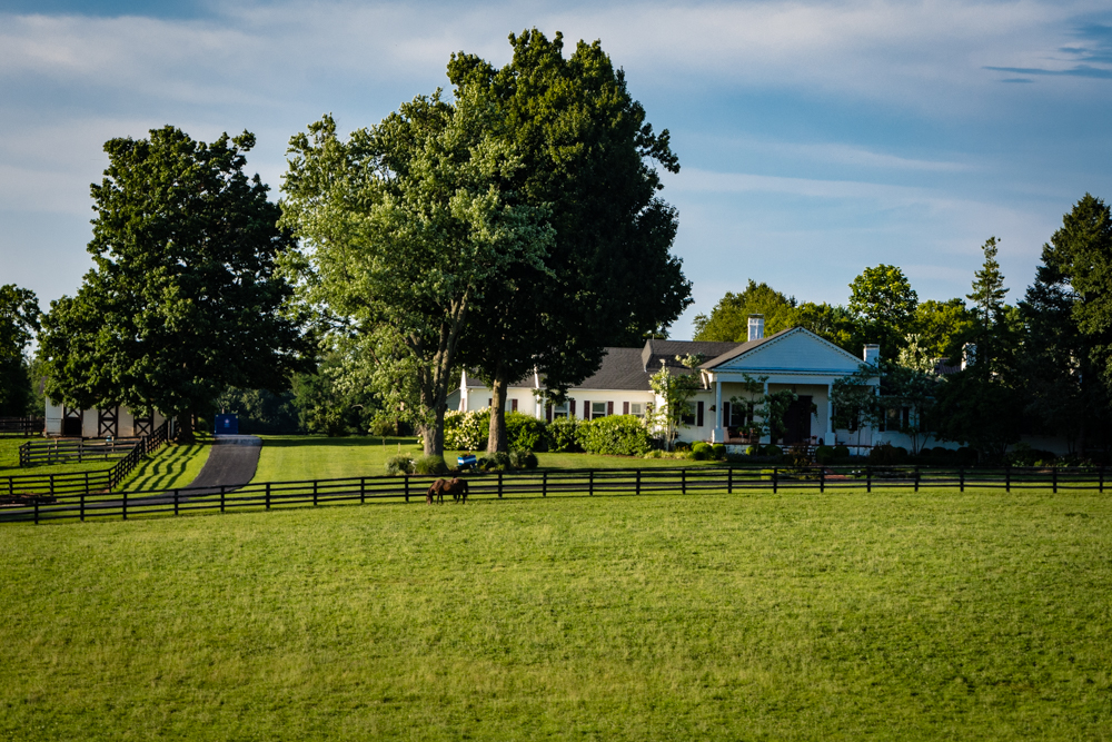 20160717-0886.jpg