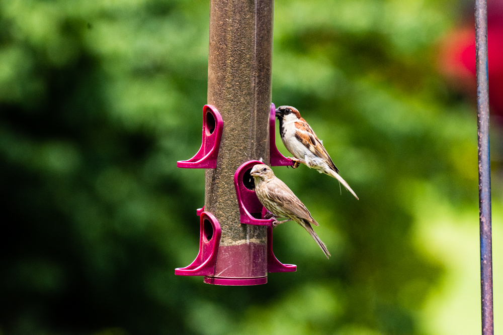 20160718-0954.jpg