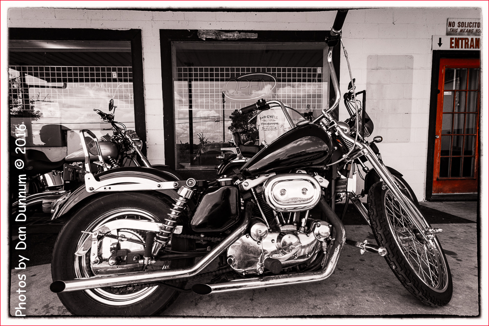20160815 Morning-2521-Edit.jpg