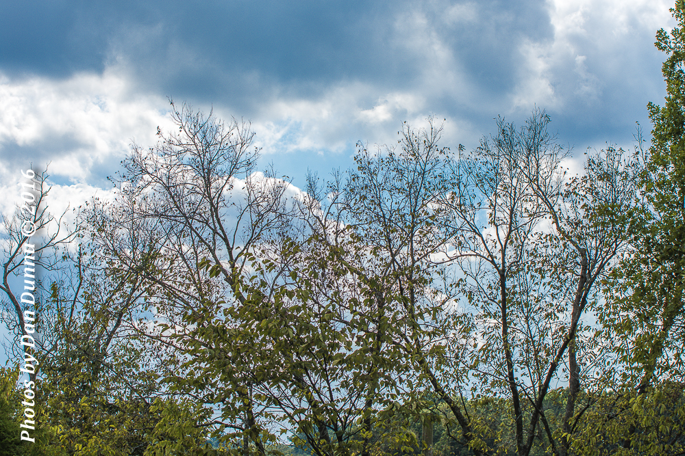 20161002-4622.jpg