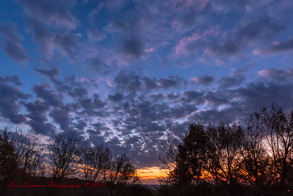 20161030-6599-Edit.jpg