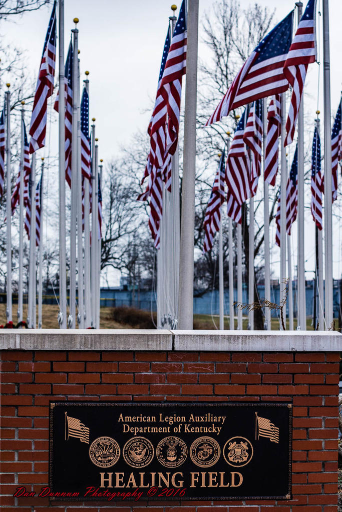 20161219 Healing Field-9336.jpg