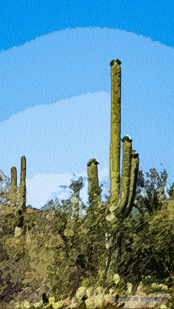 20170504_084126-Edit.jpg