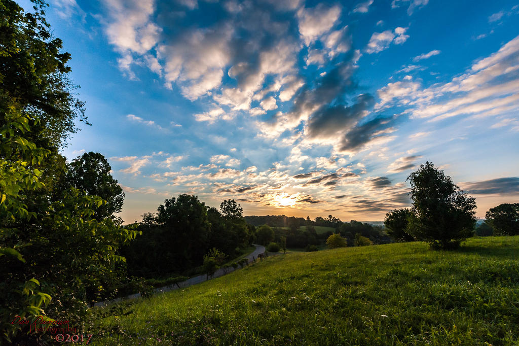 20170715 Morning-7364.jpg