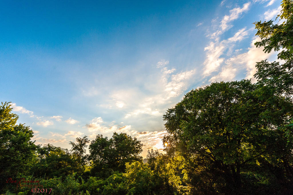 20170715 Morning-7374.jpg