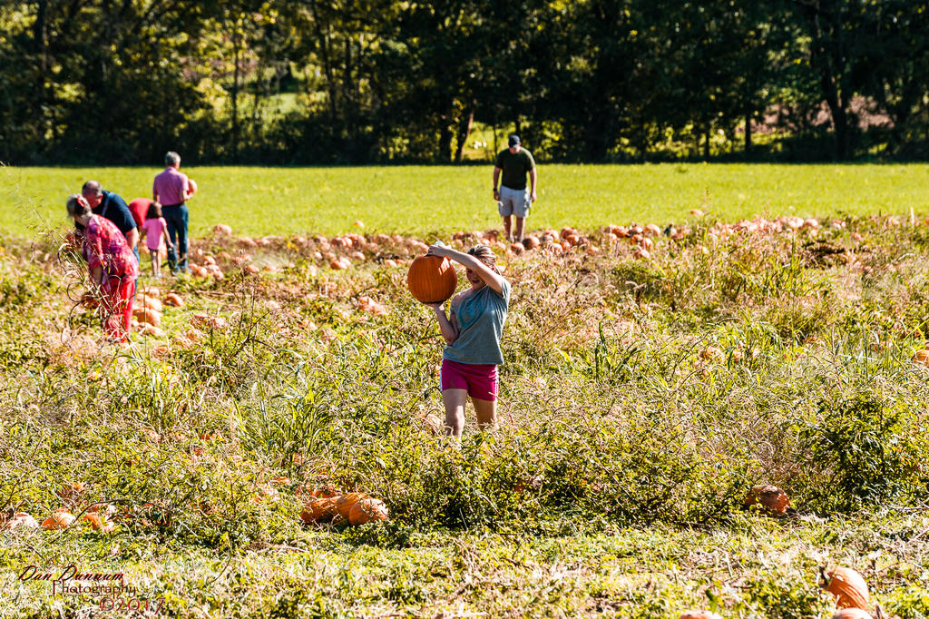 20171014 BuckMedow-8649.jpg