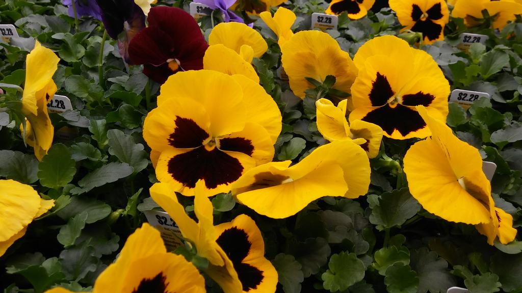 20180413_150645.jpg