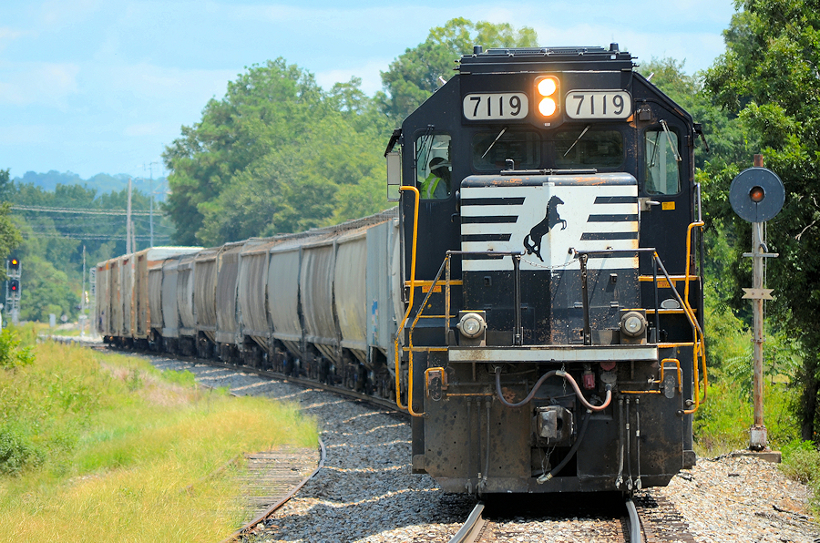 2019-08-17b Cayce SC - for upload.jpg