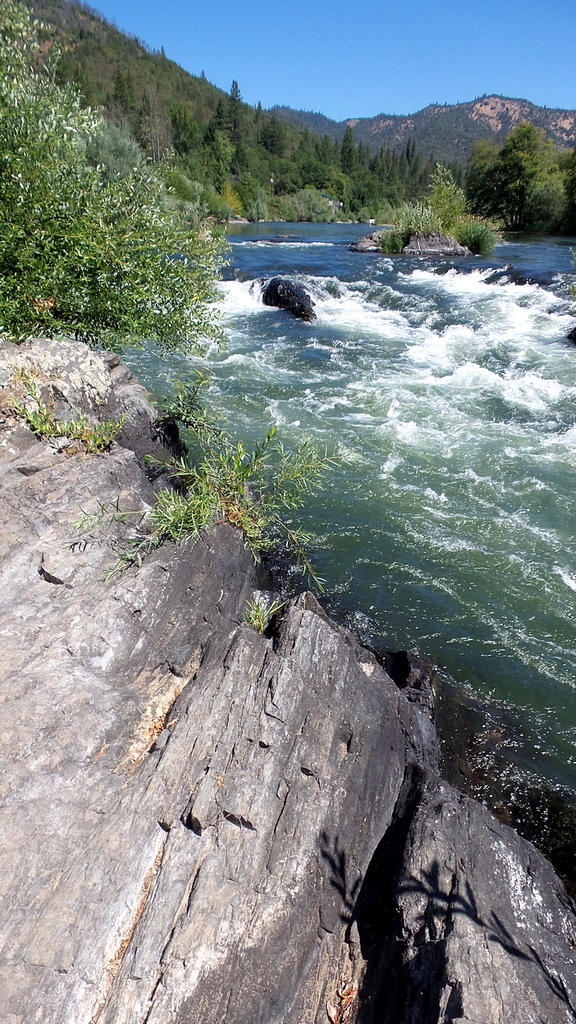 20190721_1129242.jpg