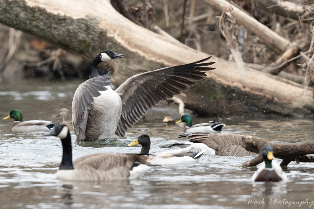 20191228-RD5_1443.jpg