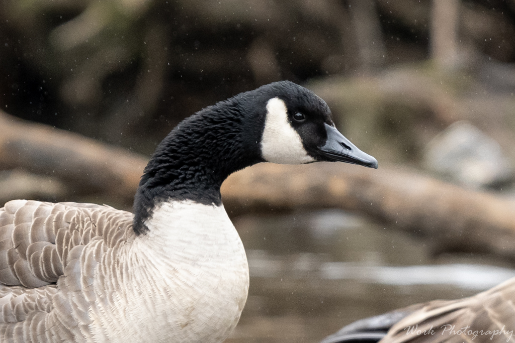 20191228-RD5_1453.jpg