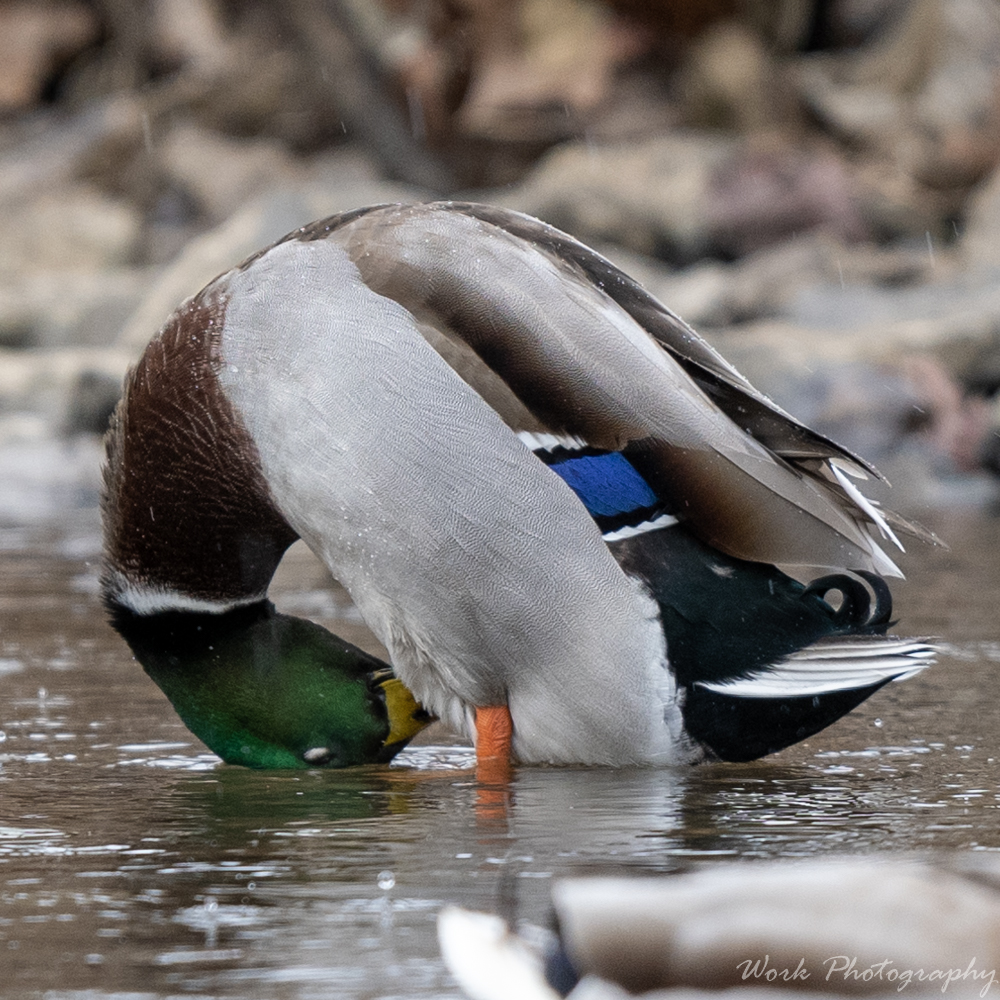 20191228-RD5_1547.jpg