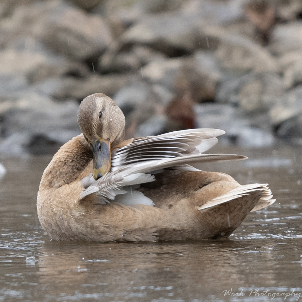 20191228-RD5_1554.jpg