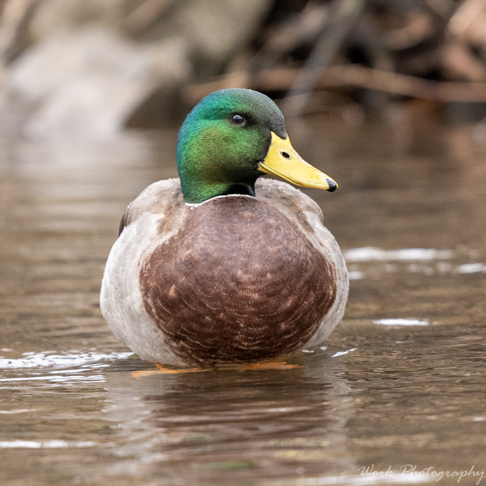 20191228-RD5_1598.jpg