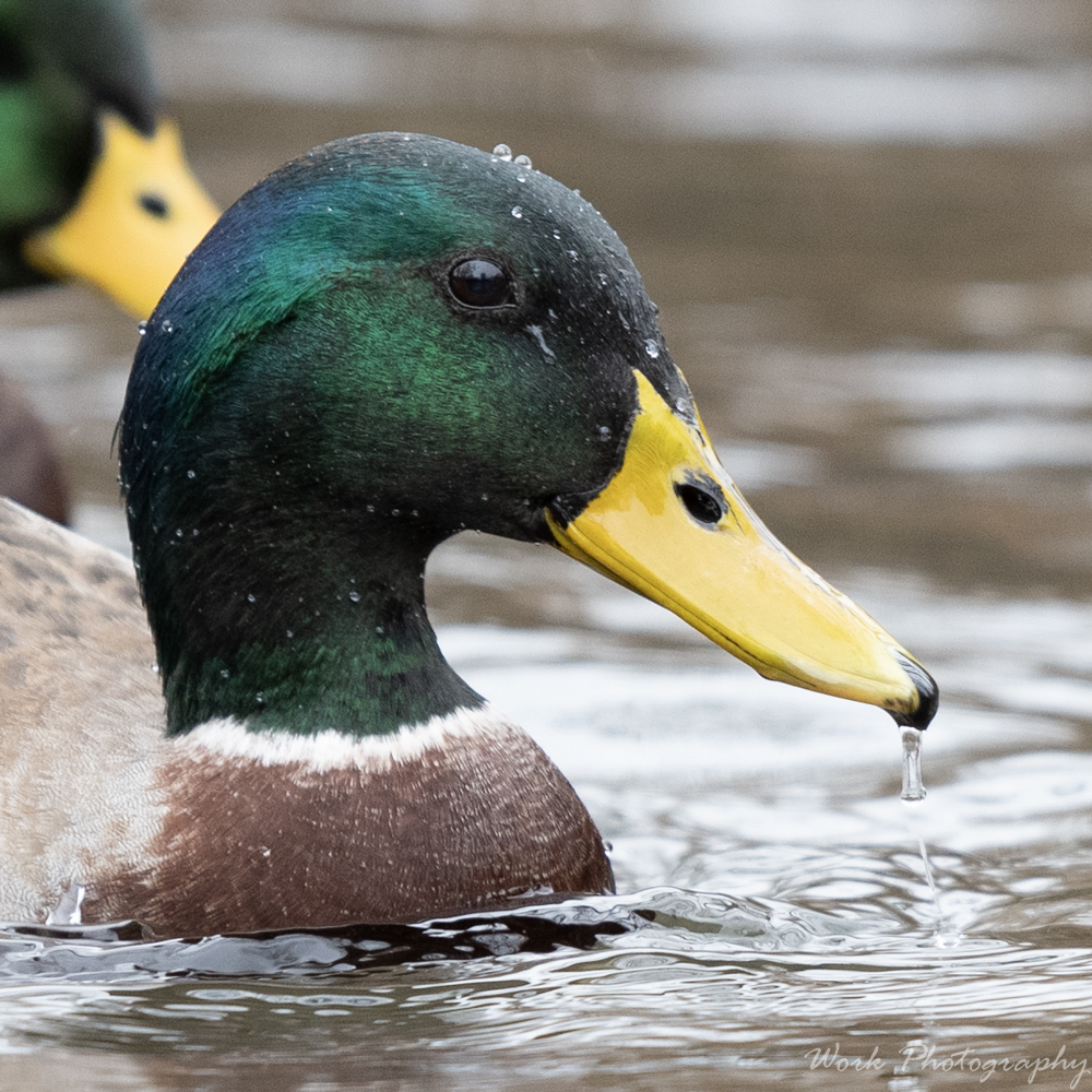 20191228-RD5_1610.jpg