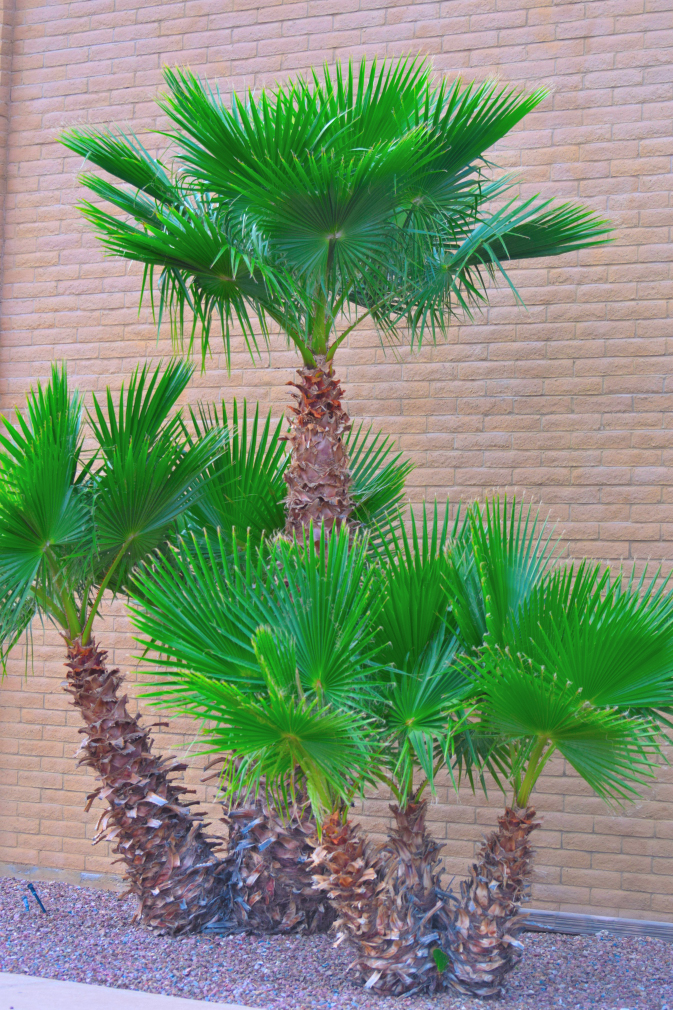 2020-08-03-112-DSC_2296.JPG