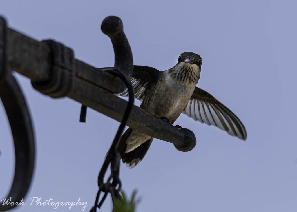 20200810-RD5_1278-Edit.jpg