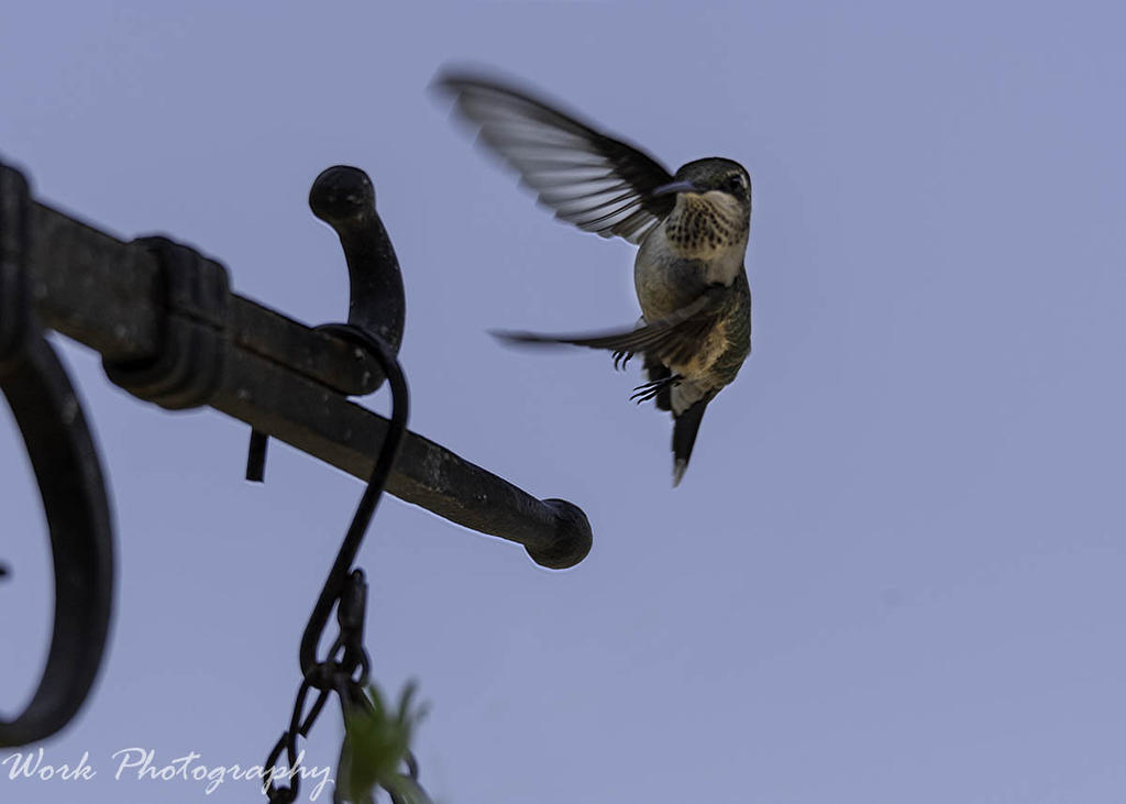20200810-RD5_1279-Edit.jpg