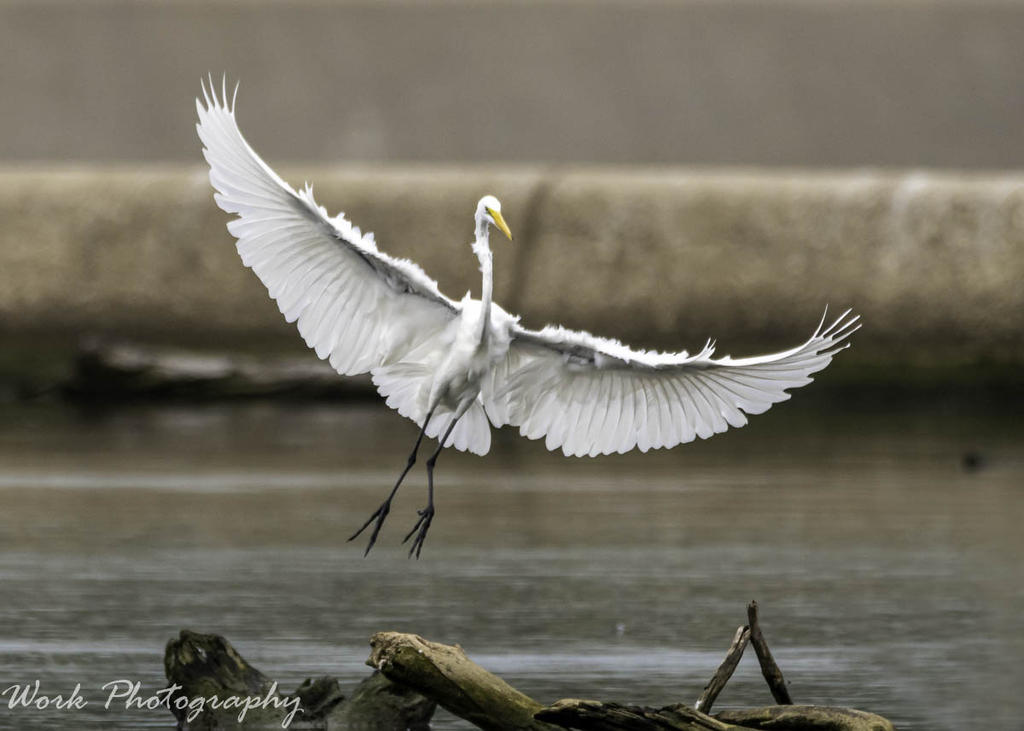 20200812-RD5_1521-Edit.jpg