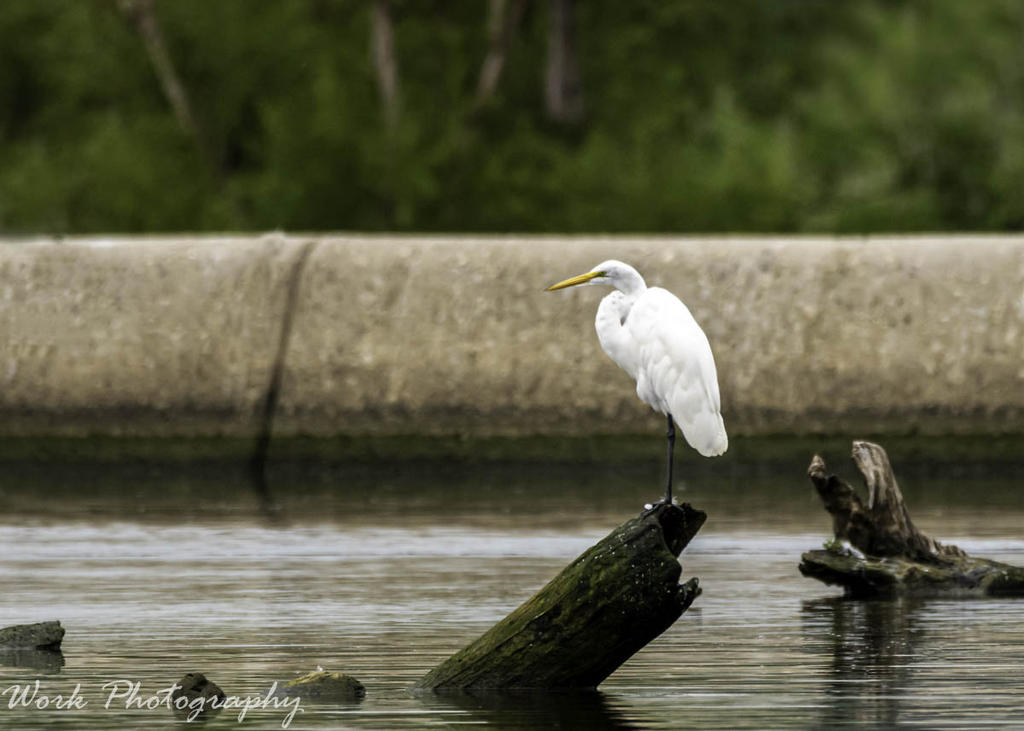 20200812-RD5_1580-Edit.jpg