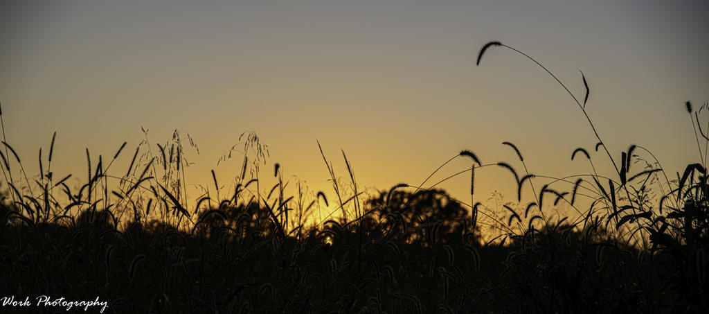 20200918-R81_5412.jpg