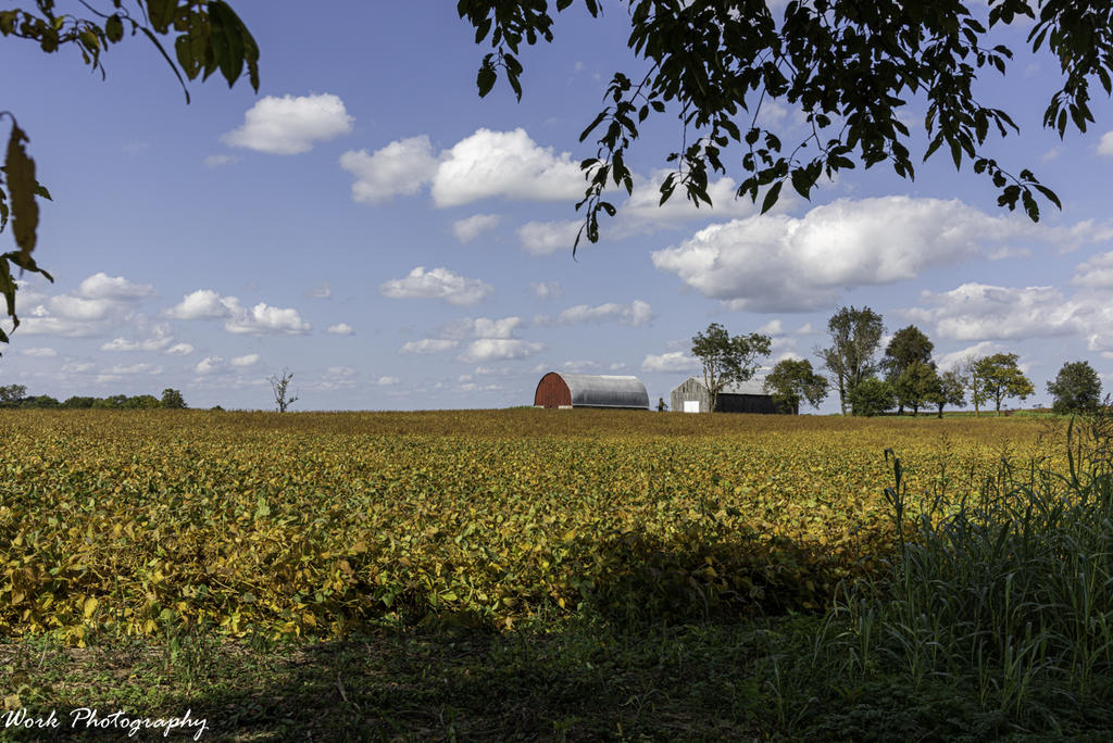 20200927-R81_5442-2.jpg