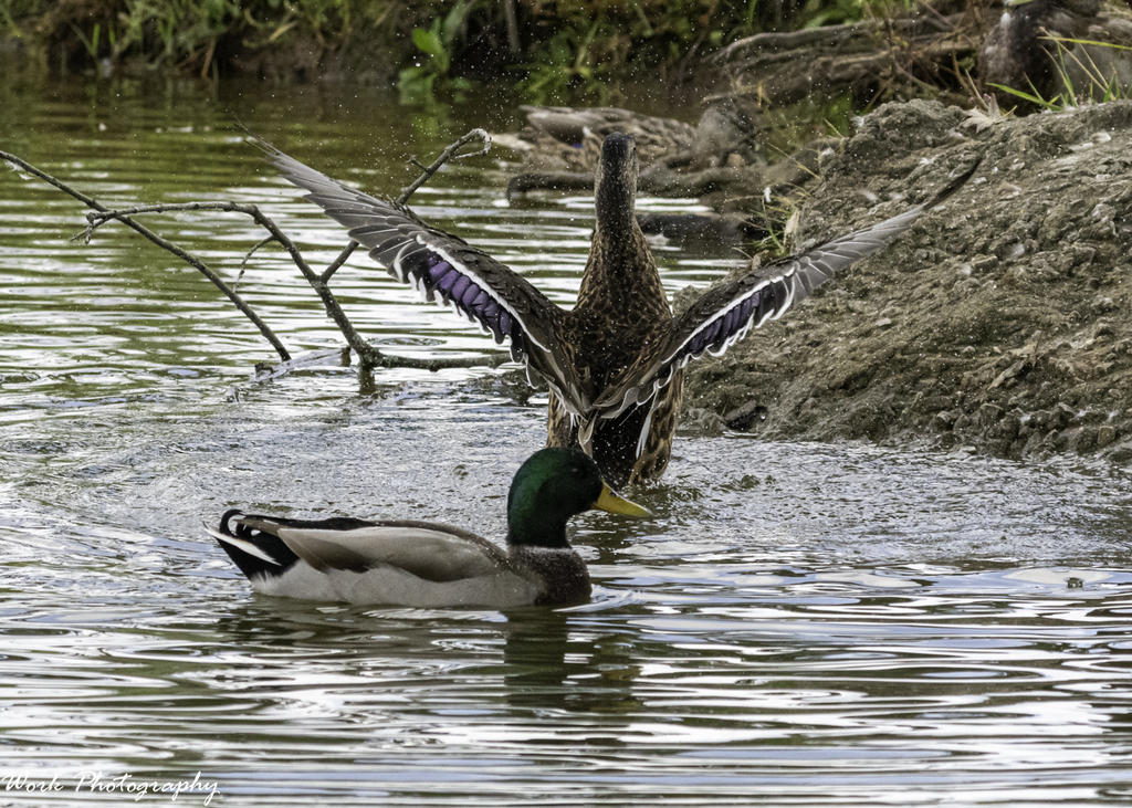 20200927-RD5_3391.jpg