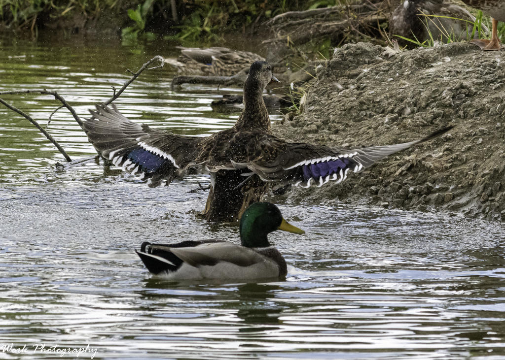 20200927-RD5_3393.jpg